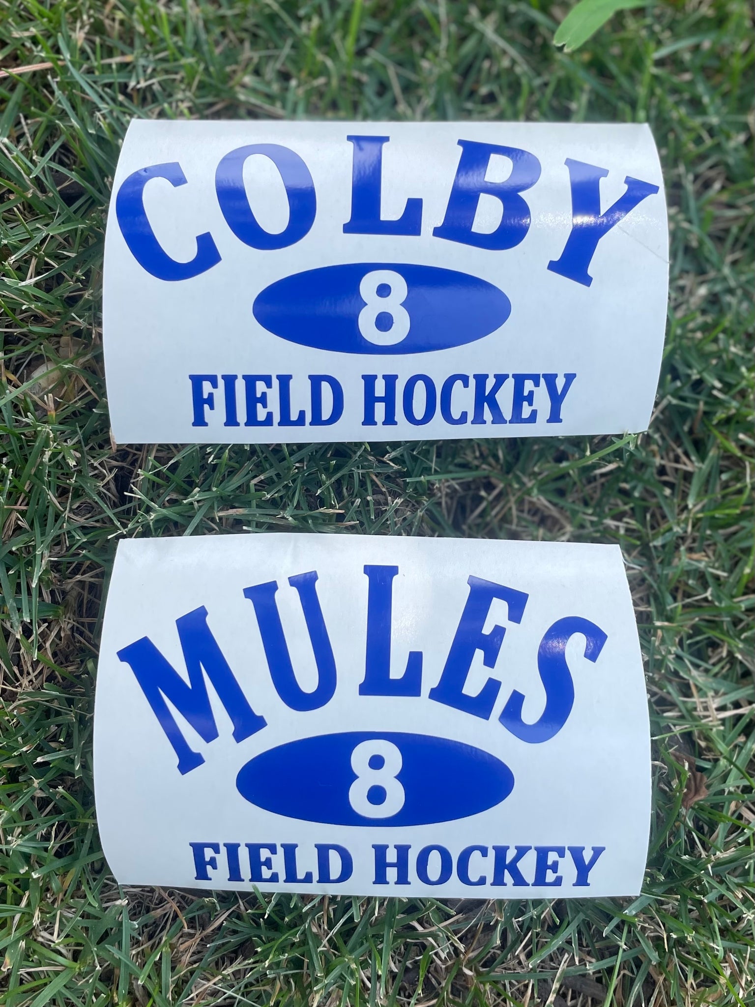 Colby College Decal Stickers